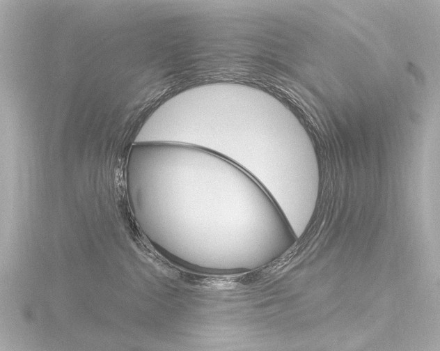 X0000116870284200912221008