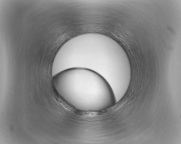 X0000116870288200912221008