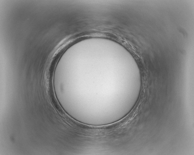 X0000116870295200912221007