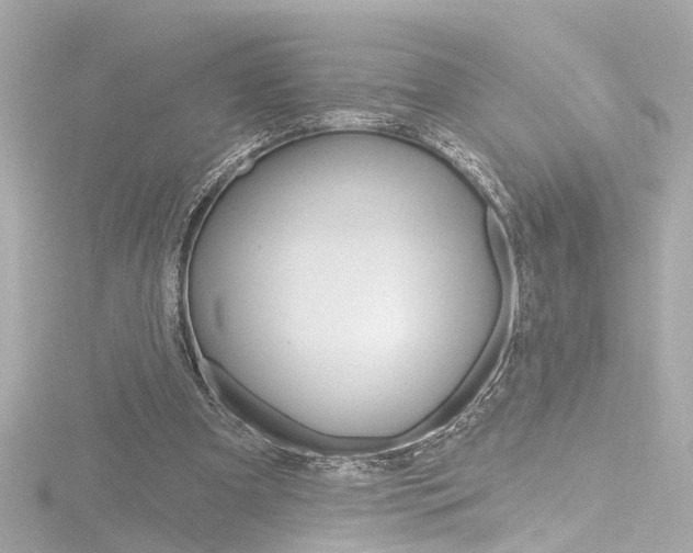 X0000116870297200912221007