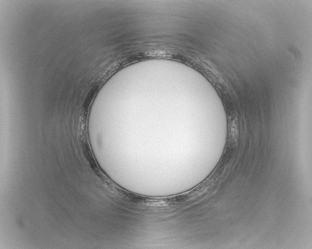 X0000116870322200912221007