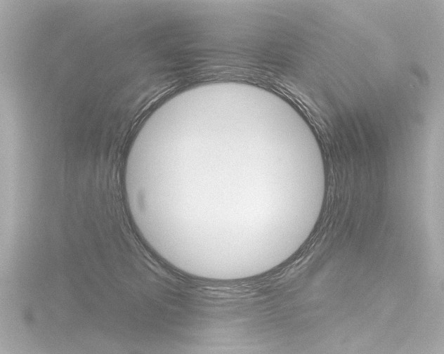 X0000116870325200912221007