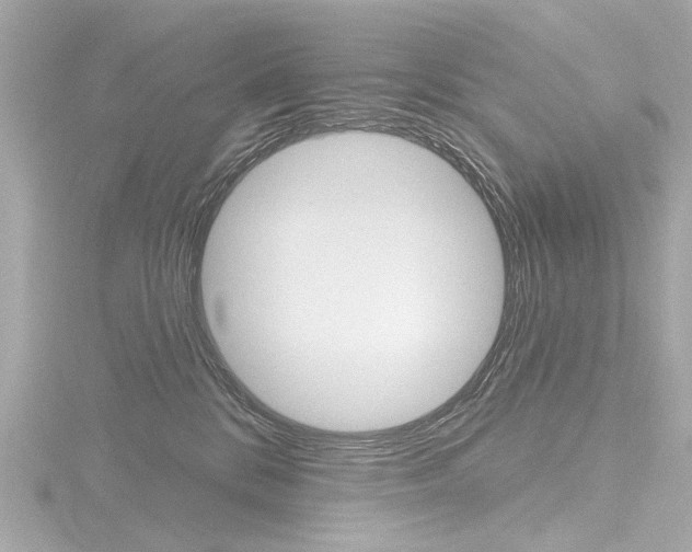 X0000116870328200912221007