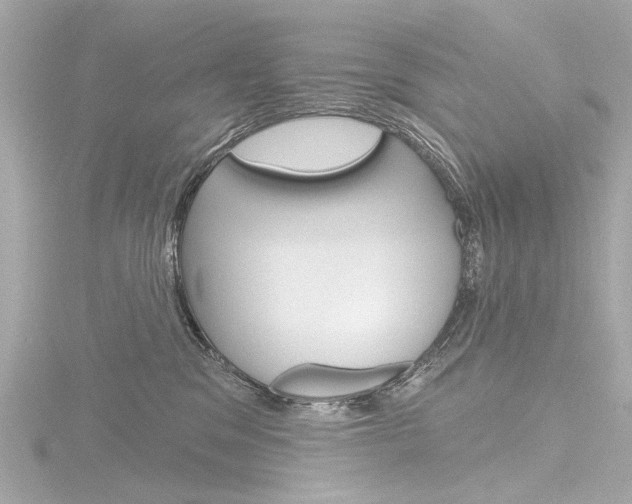X0000116870329200912221007