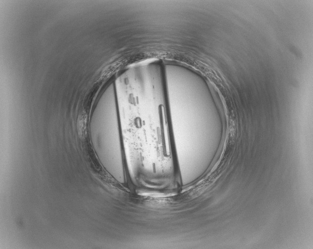 X0000116870332200912221007