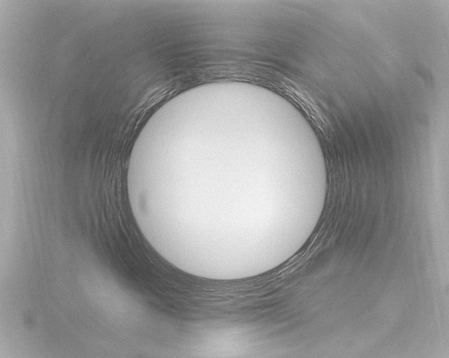 X0000116870333200912221007
