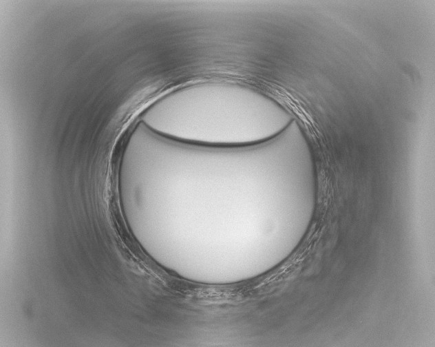 X0000116870338200912221006
