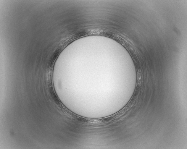 X0000116870369200912221006