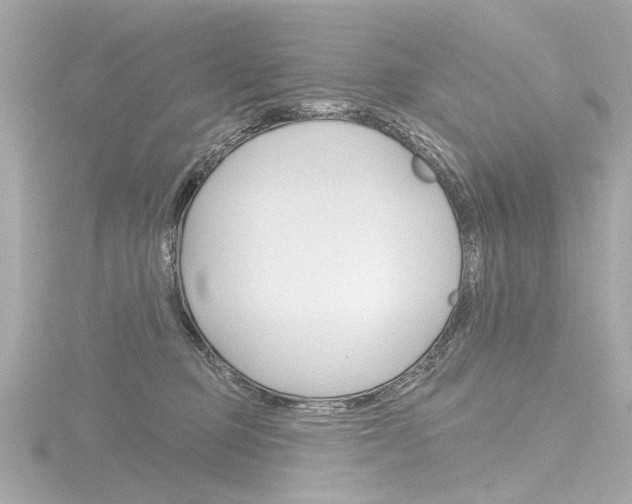 X0000116870373200912221007