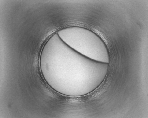 X0000116870394200912221006