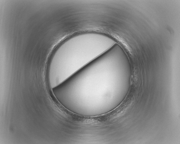 X0000116870399200912221006