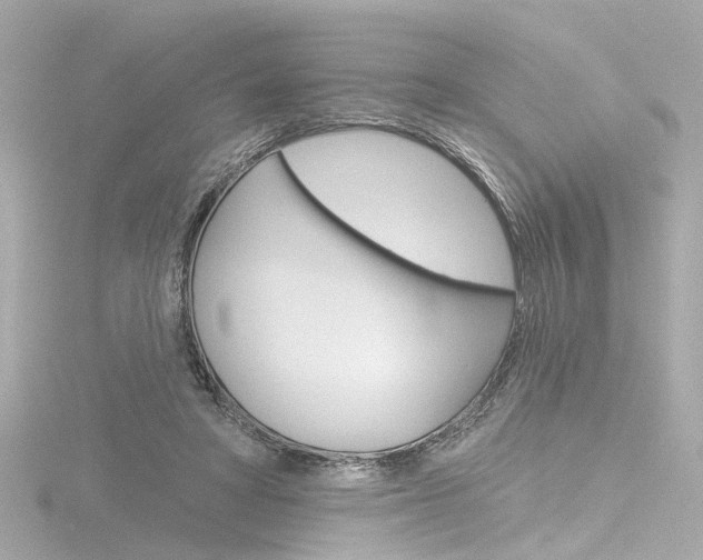 X0000116870402200912221006