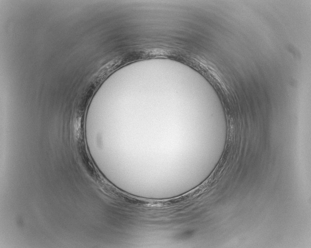 X0000116870406200912221006