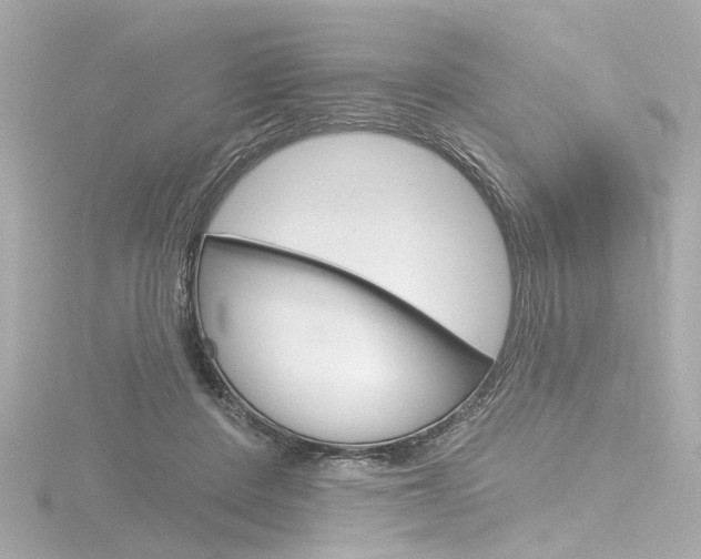 X0000116870408200912221006