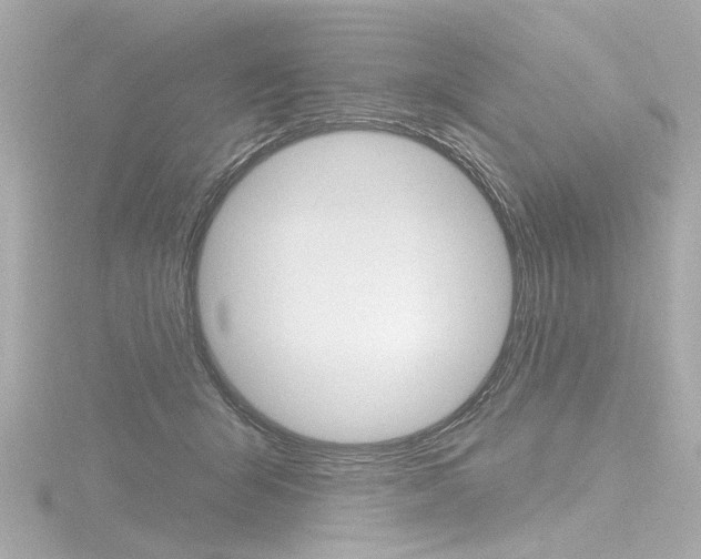 X0000116870415200912221006