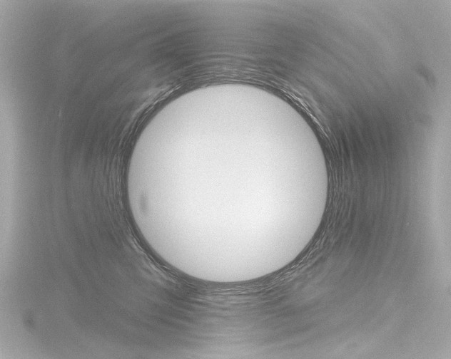 X0000116870423200912221006