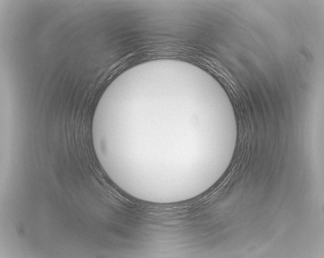 X0000116870425200912221006