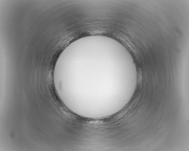 X0000116870426200912221006