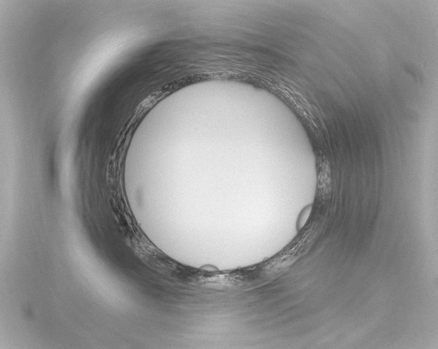 X0000116870430200912221005
