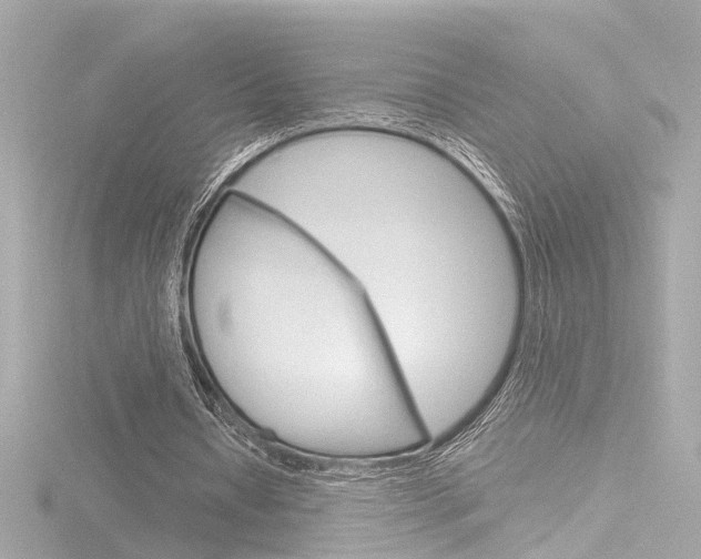 X0000116870434200912221005