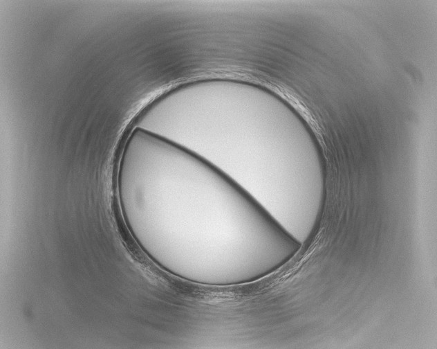 X0000116870438200912221005