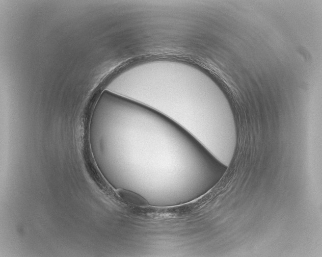 X0000116870448200912221005