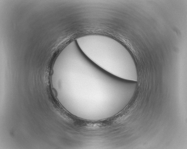 X0000116870450200912221005