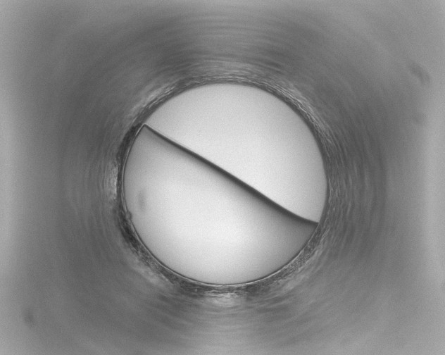 X0000116870454200912221005