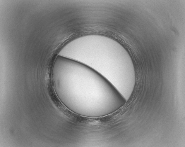 X0000116870456200912221005