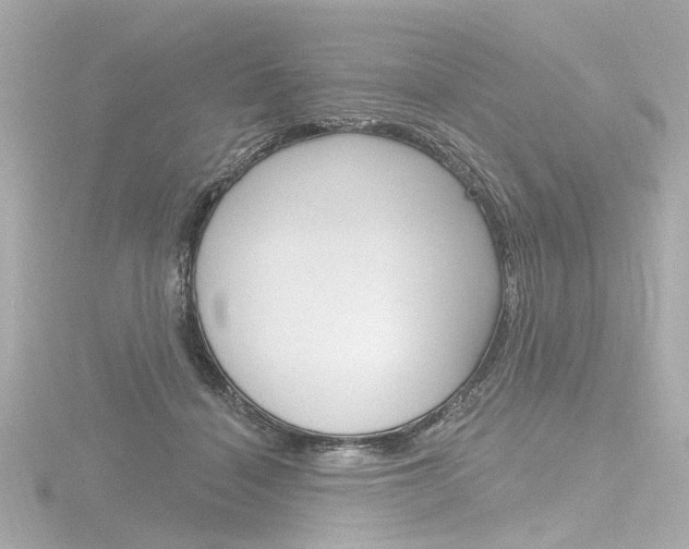 X0000116870460200912221005