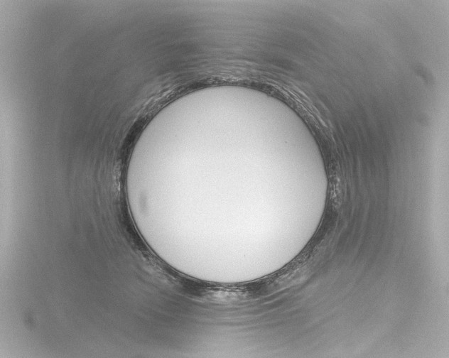 X0000116870466200912221005