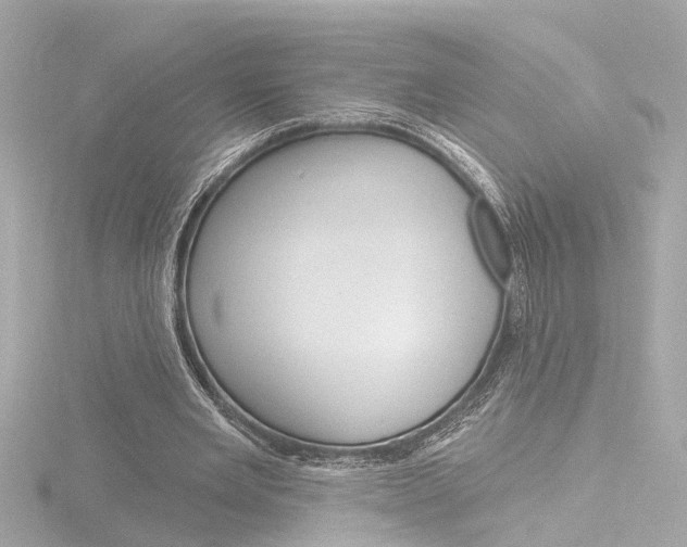 X0000116870485200912221005