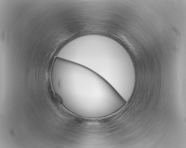 X0000116870500200912221005