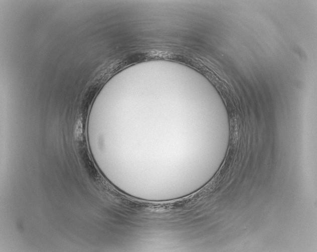 X0000116870502200912221005