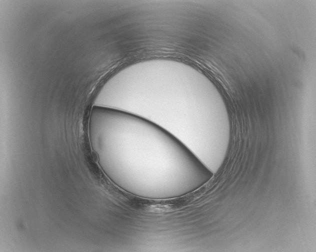 X0000116870508200912221004