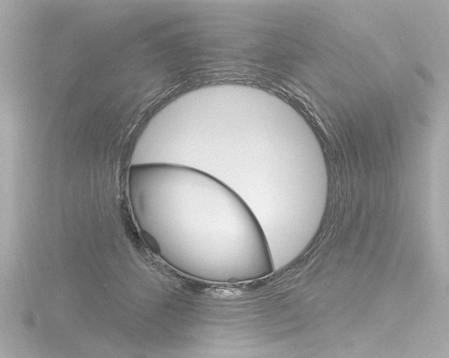 X0000116870512200912221004