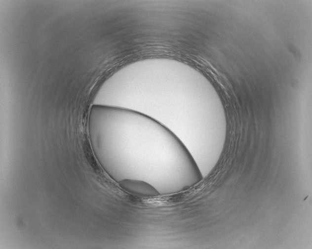 X0000116870516200912221004