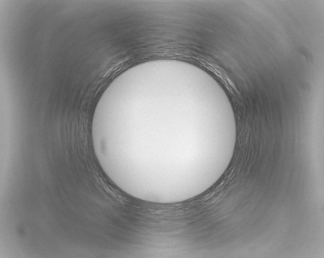X0000116870521200912221004