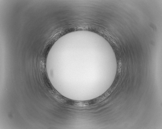 X0000116870522200912221004