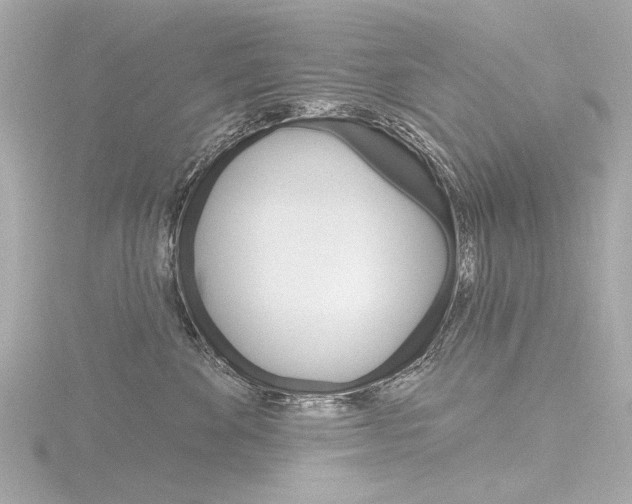 X0000116870524200912221004