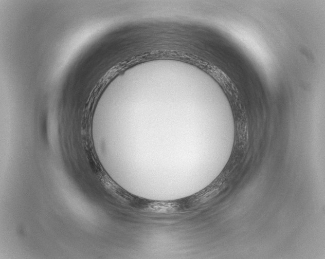 X0000116870526200912221004
