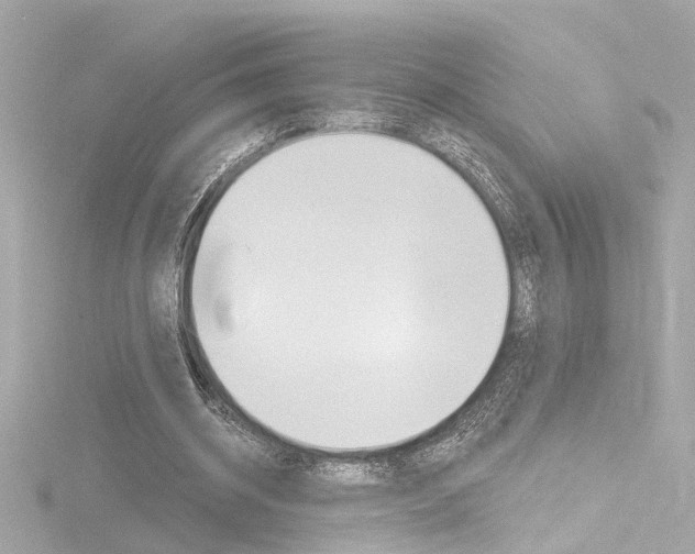 X0000116870534200912221004