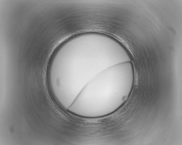 X0000116870535200912221004