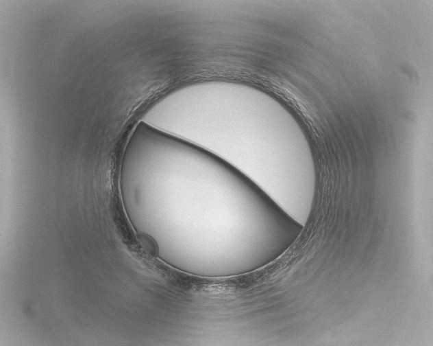 X0000116870546200912221004