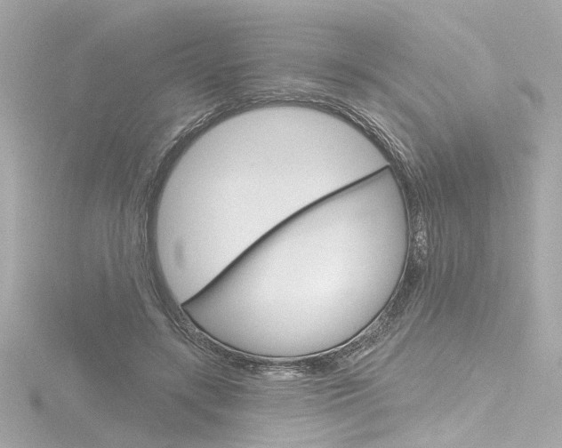 X0000116870547200912221004