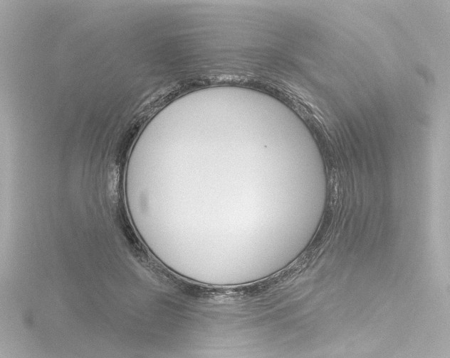 X0000116870550200912221004