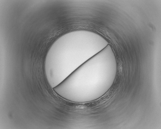 X0000116870551200912221004