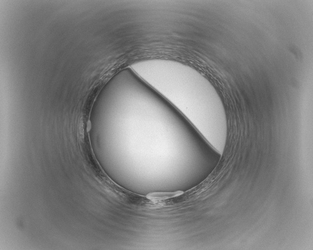 X0000116870562200912221004