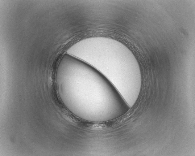 X0000116870566200912221004