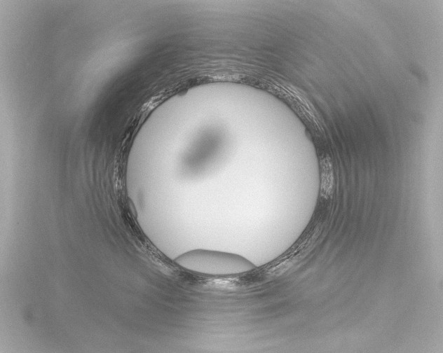 X0000116870573200912221004